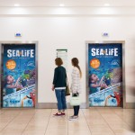 Sea Life, Great Yarmouth, Norwich, Chapelfield, Adlift, Mall, Marketing, Media, Advertising